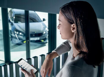 Trip Report Trip Report